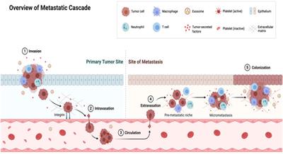 The Proposition of the Pulmonary Route as an Attractive Drug Delivery Approach of Nano-Based Immune Therapies and Cancer Vaccines to Treat Lung Tumors